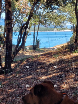 Zemljište - Prodaja - ISTARSKA - MARČANA - KRNICA